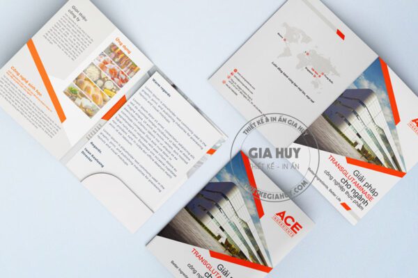 tổng hợp những mẫu in folder đẹp ấn tượng