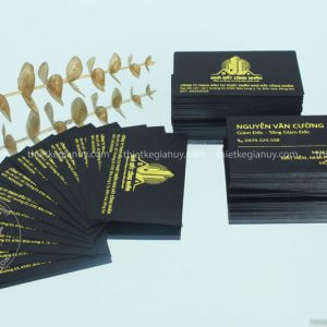 card cong ty nha dat cong dan